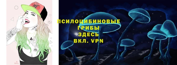 метадон Аркадак