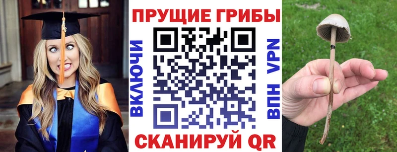 мориарти клад  omg tor  Лениногорск  Галлюциногенные грибы ЛСД 