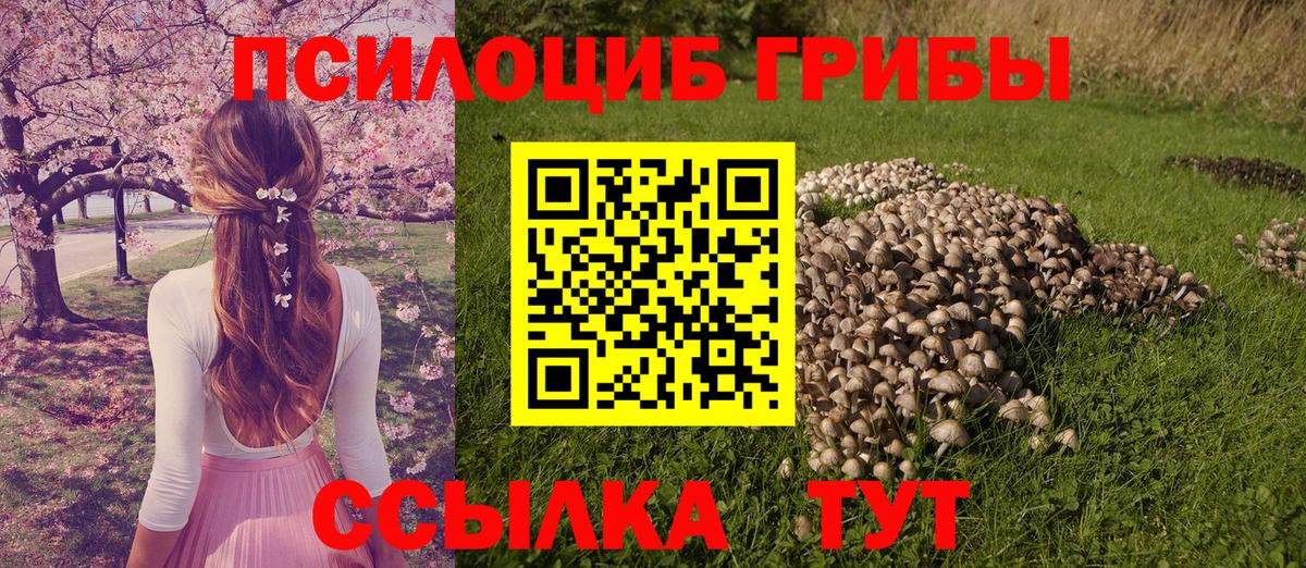 Галлюциногенные грибы Cubensis Лениногорск